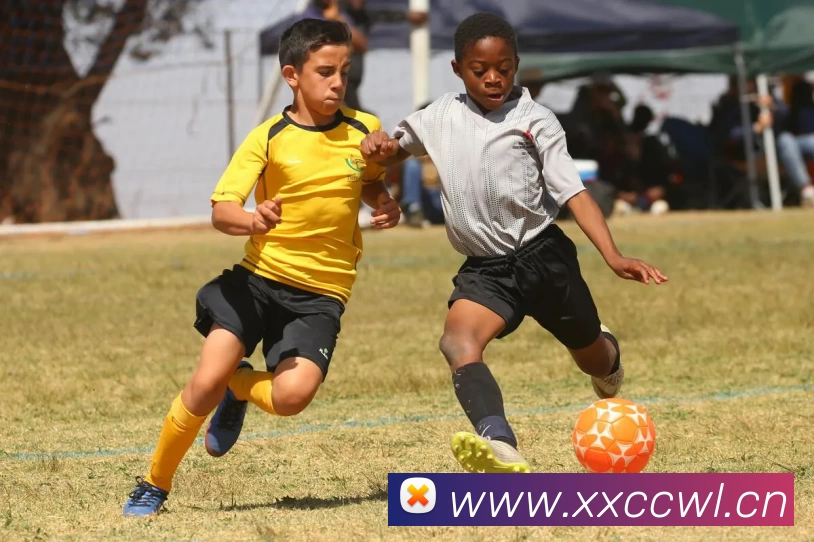 滚球官网app品牌故事