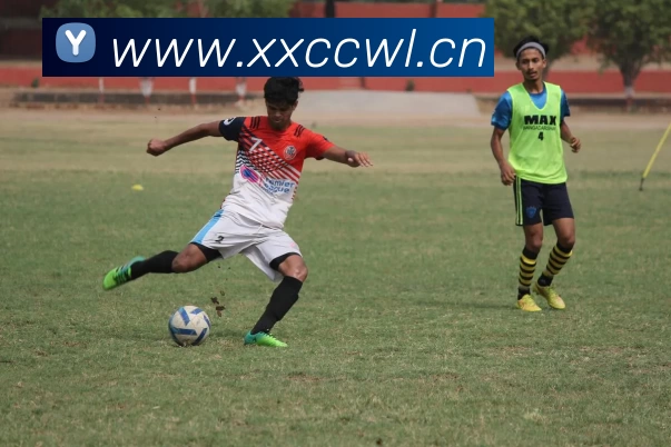 滚球官网app服务体系